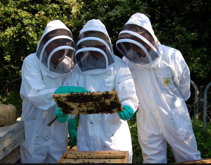 Introduction to Beekeeping Class