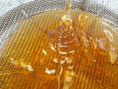 Honey Extraction Services