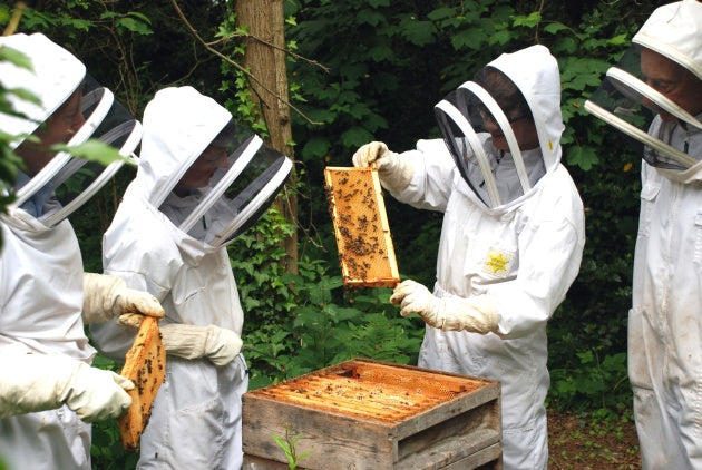 Private Intro To Beekeeping Class
