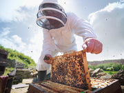 Ag Exemption - Pollination - Bee Management Program
